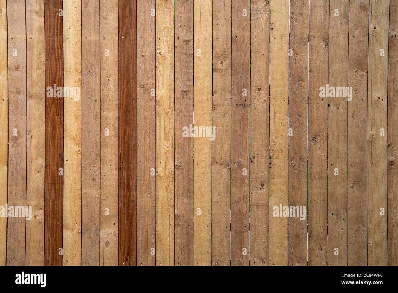 Beautiful beige-brown wooden background. Building sites visual protection Stock Photo