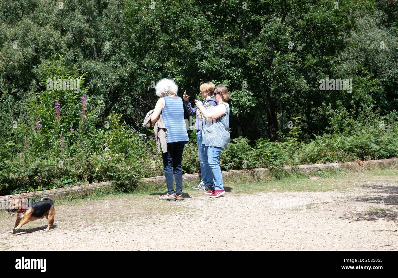 Toys Hill, Kent, UK. 21st July, 2020. Three People take photos of the spectacular view from Toys