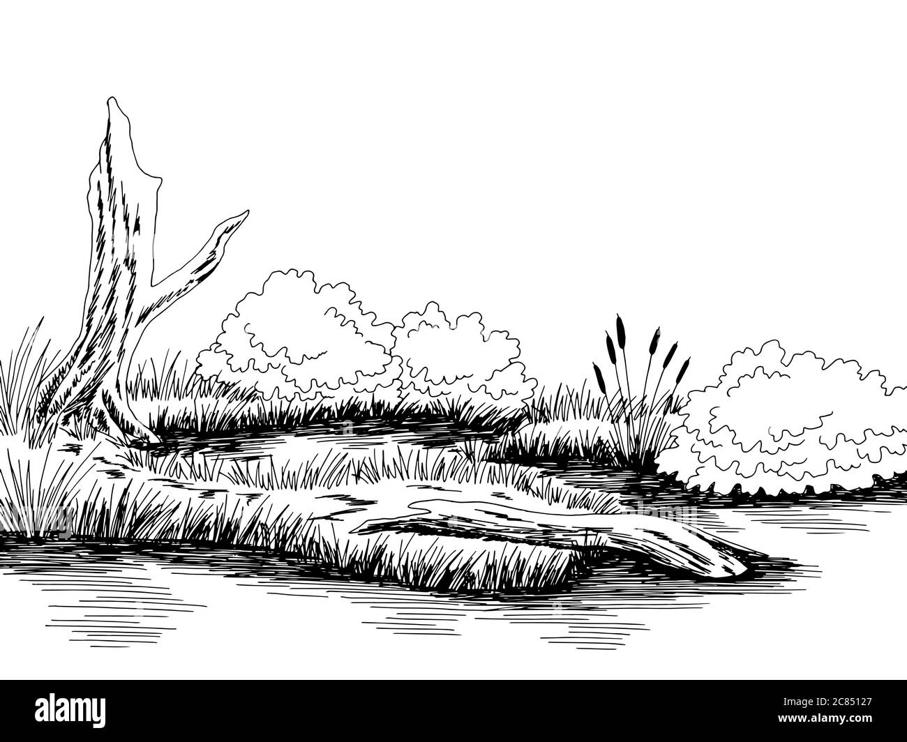 Bog swamp graphic black white landscape sketch illustration vector Stock Vector
