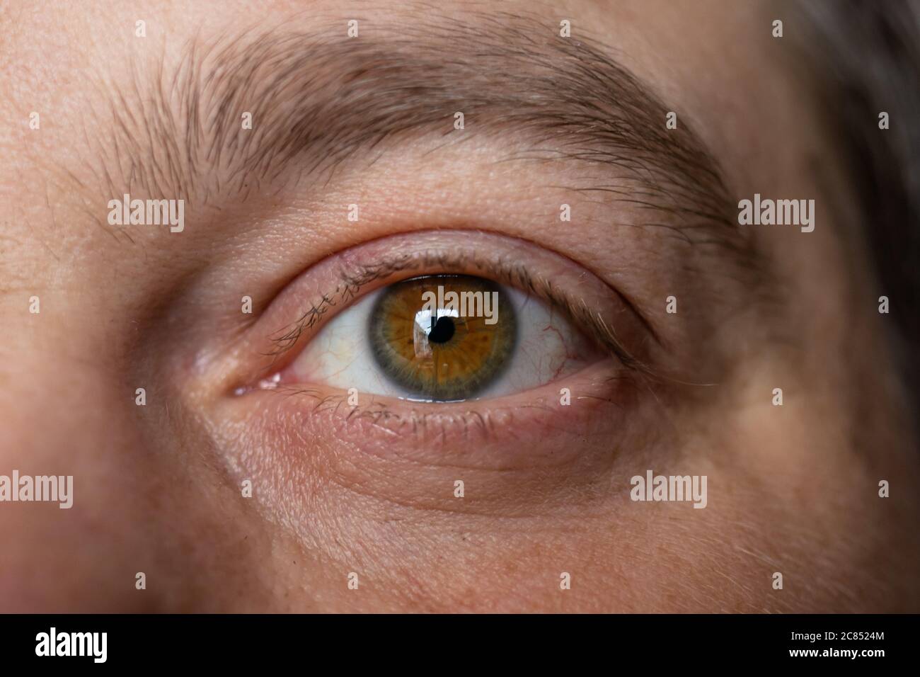 A healthy man's eye is a close-up macro photo. Ophthalmology Stock Photo