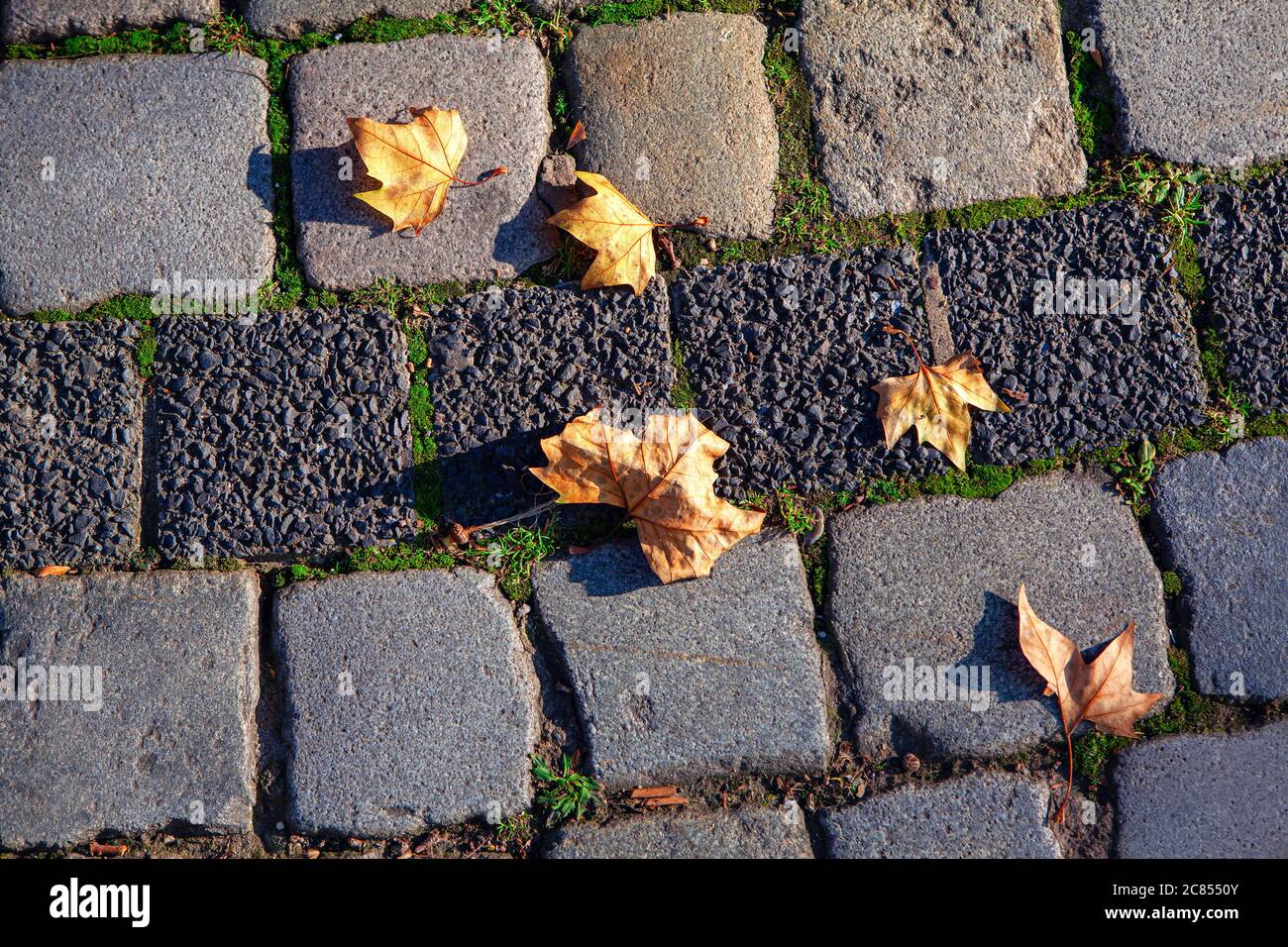 Dry leaves on the cobblestone road . Autumn symbol Stock Photo - Alamy