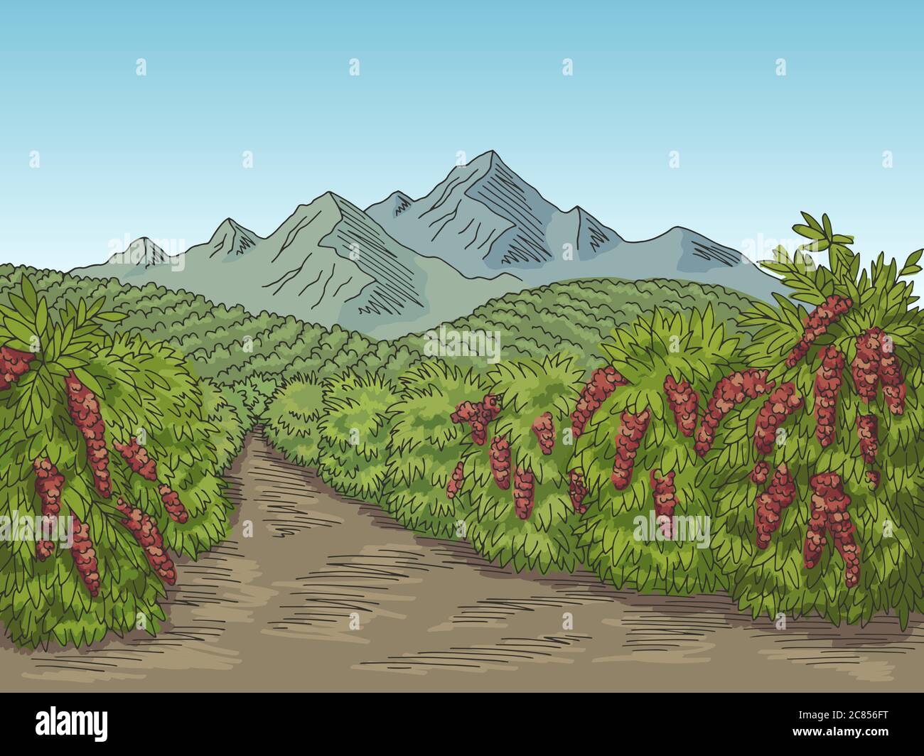 Plantation Stock Vector Images - Alamy