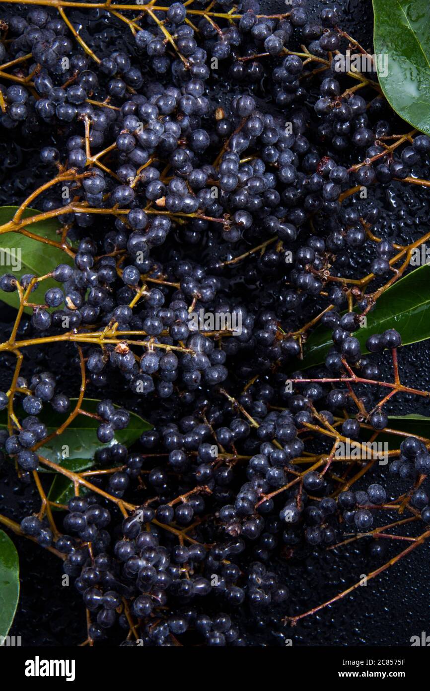 Raspberry clusters next to green and fresh leaves of plants with a ...