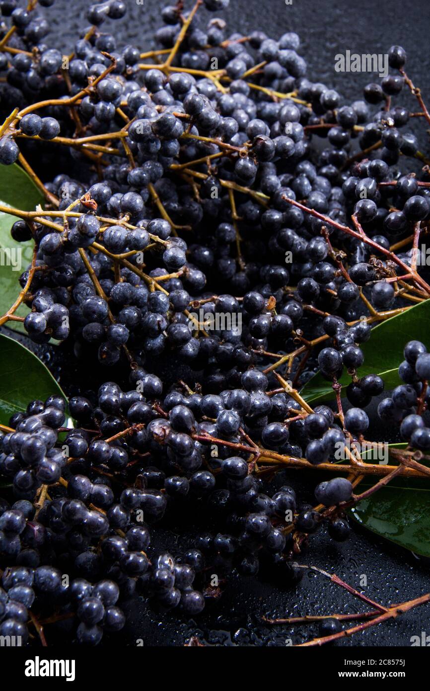 Raspberry clusters next to green and fresh leaves of plants with a ...