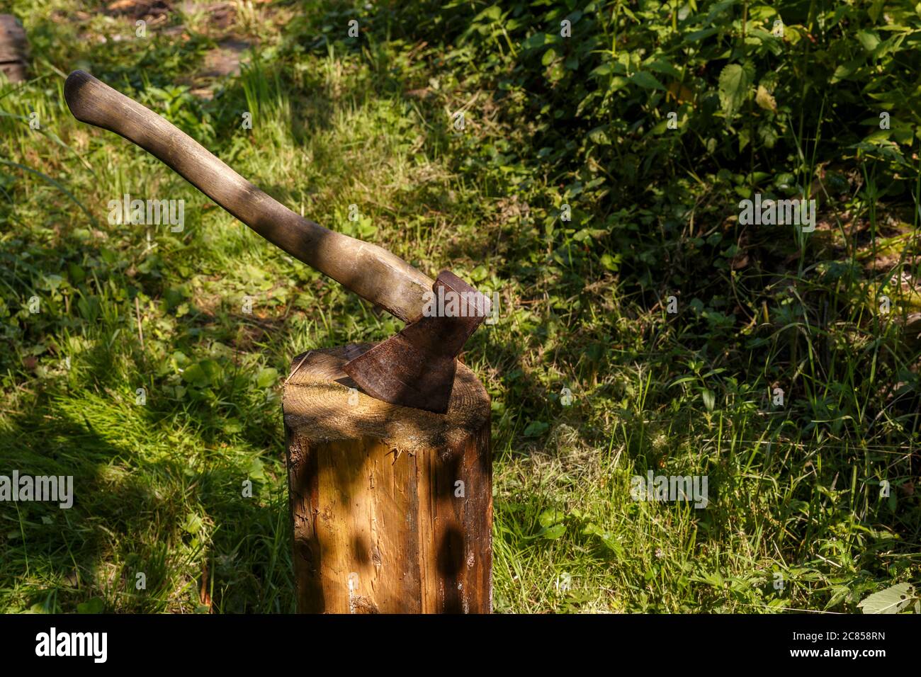 Ax stuck in the stump. Ax with a wooden handle in a stump in the forest. Stock Photo
