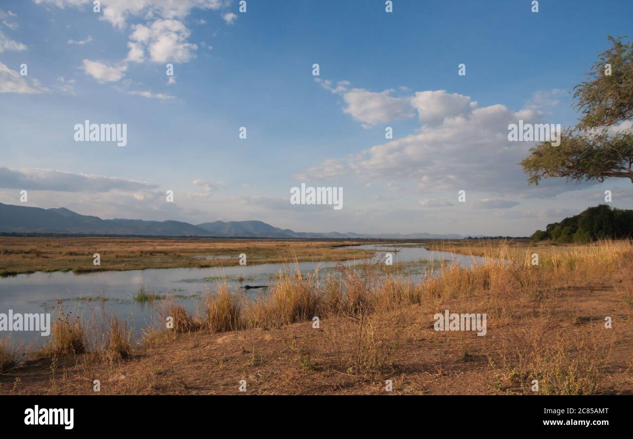View of the Zambezi River with blue sky and clouds in Mana Pools National Park, Zimbabwe Stock Photo