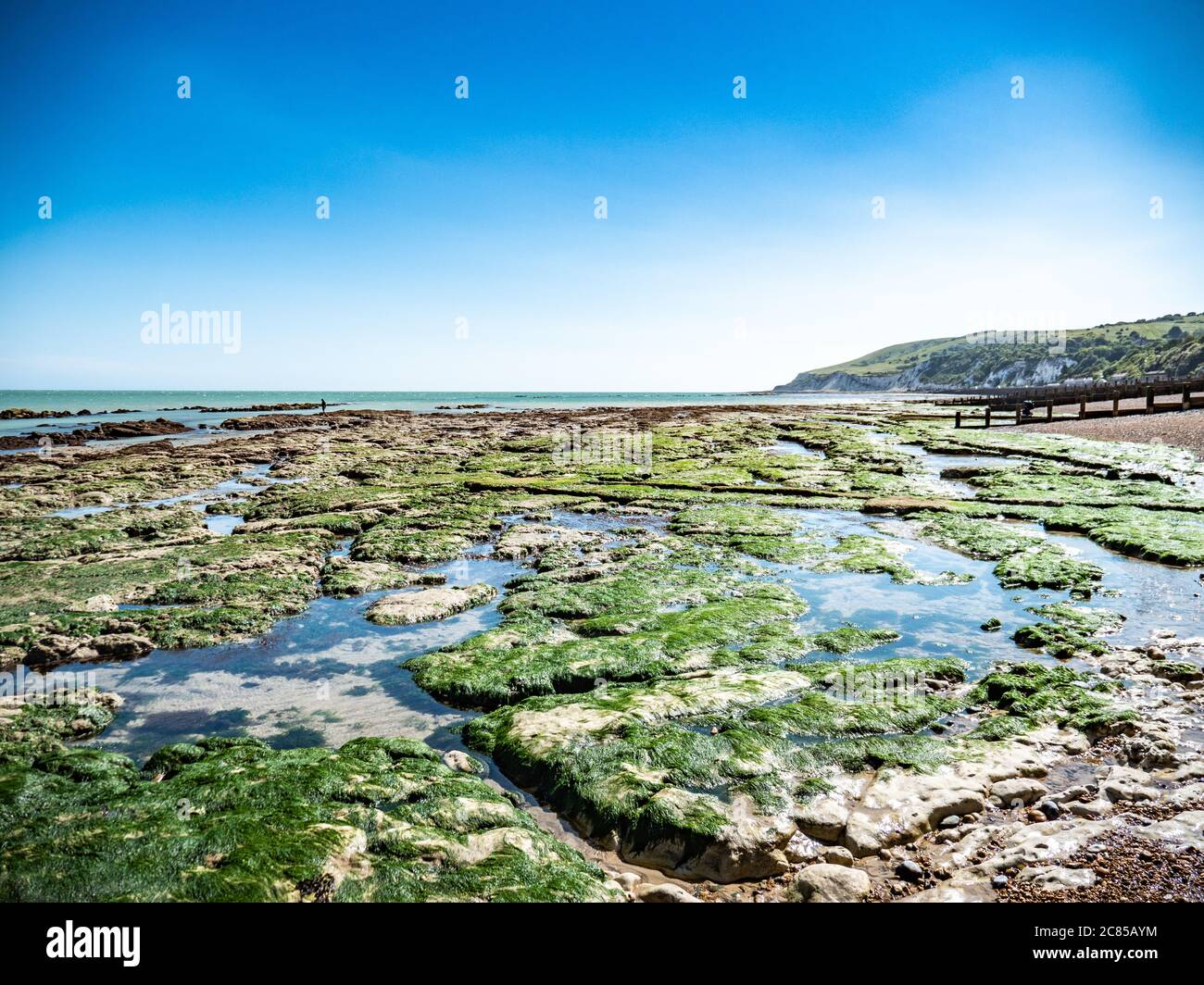 Rock pools at low tide on the south coast of England near Eastbourne, East Sussex, with the white cliffs and South Downs visible in the distance. Stock Photo