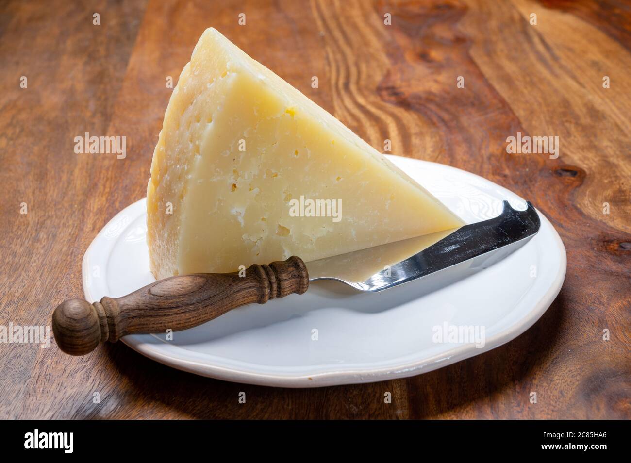 Italian cheeses collection, matured pecorino romano hard cheese made