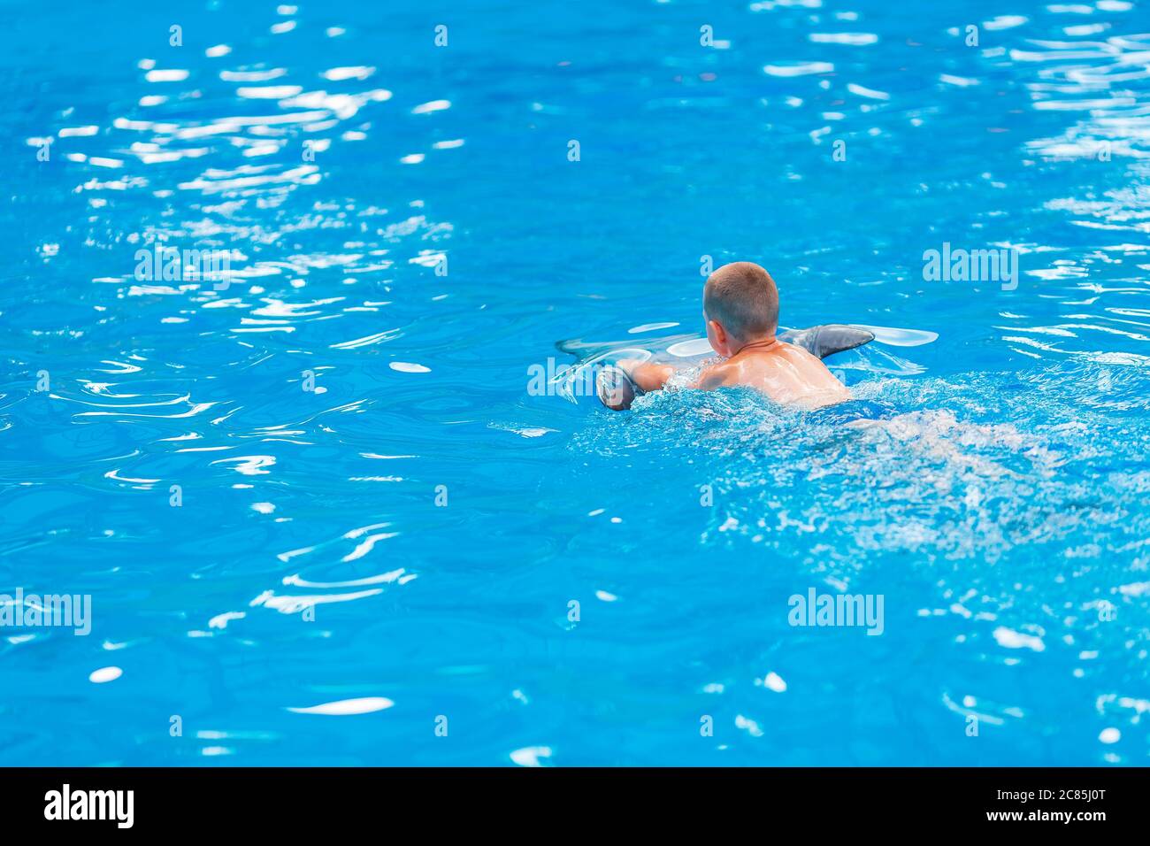 Happy little boy swimming with dolphins in Dolphinarium. Swimming