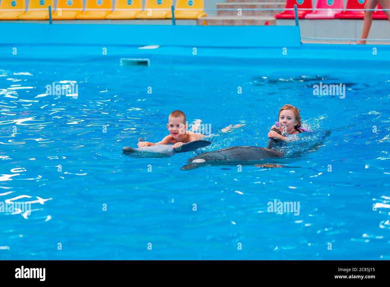 Happy little kids swimming with dolphins in Dolphinarium. Swimming