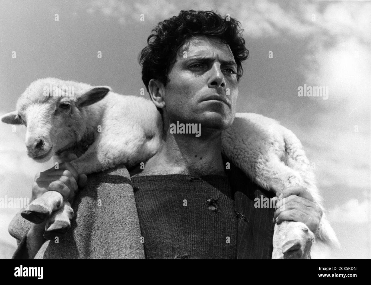 Non C'è Pace Tra Gli Ulivi Significato Non c'è pace tra gli ulivi Year: 1950 - Italy Director: Giuseppe De