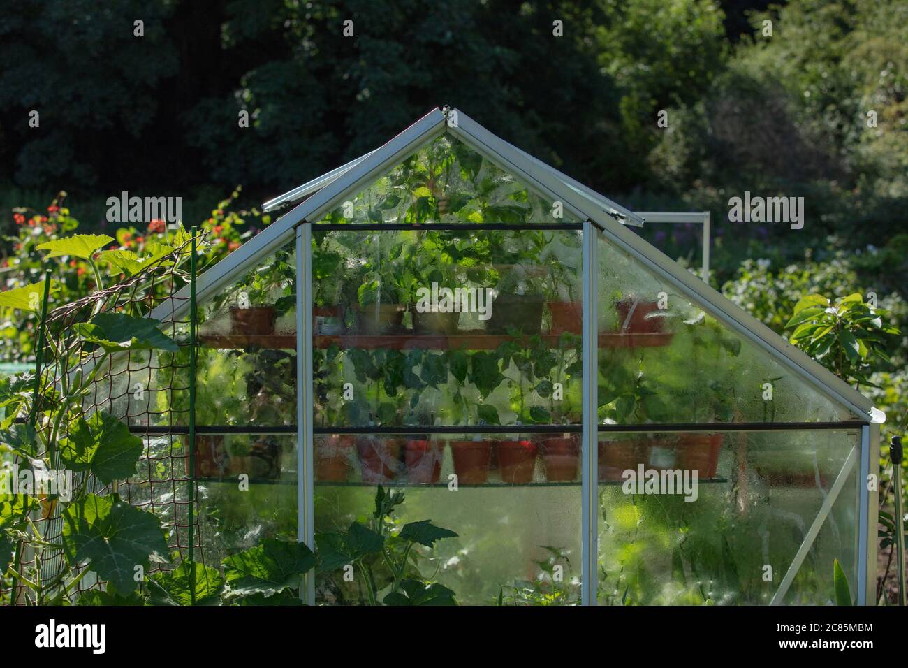 Temperature controlled greenhouse hi-res stock photography and images -  Alamy