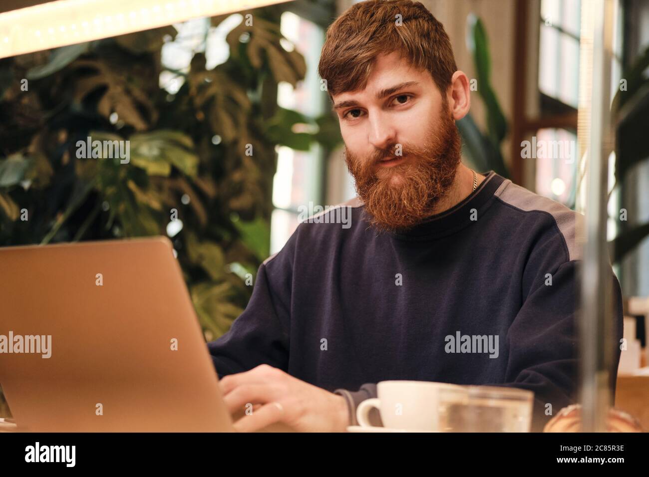 Young handsome bearded man intently looking in camera while working on laptop in cafe Stock Photo