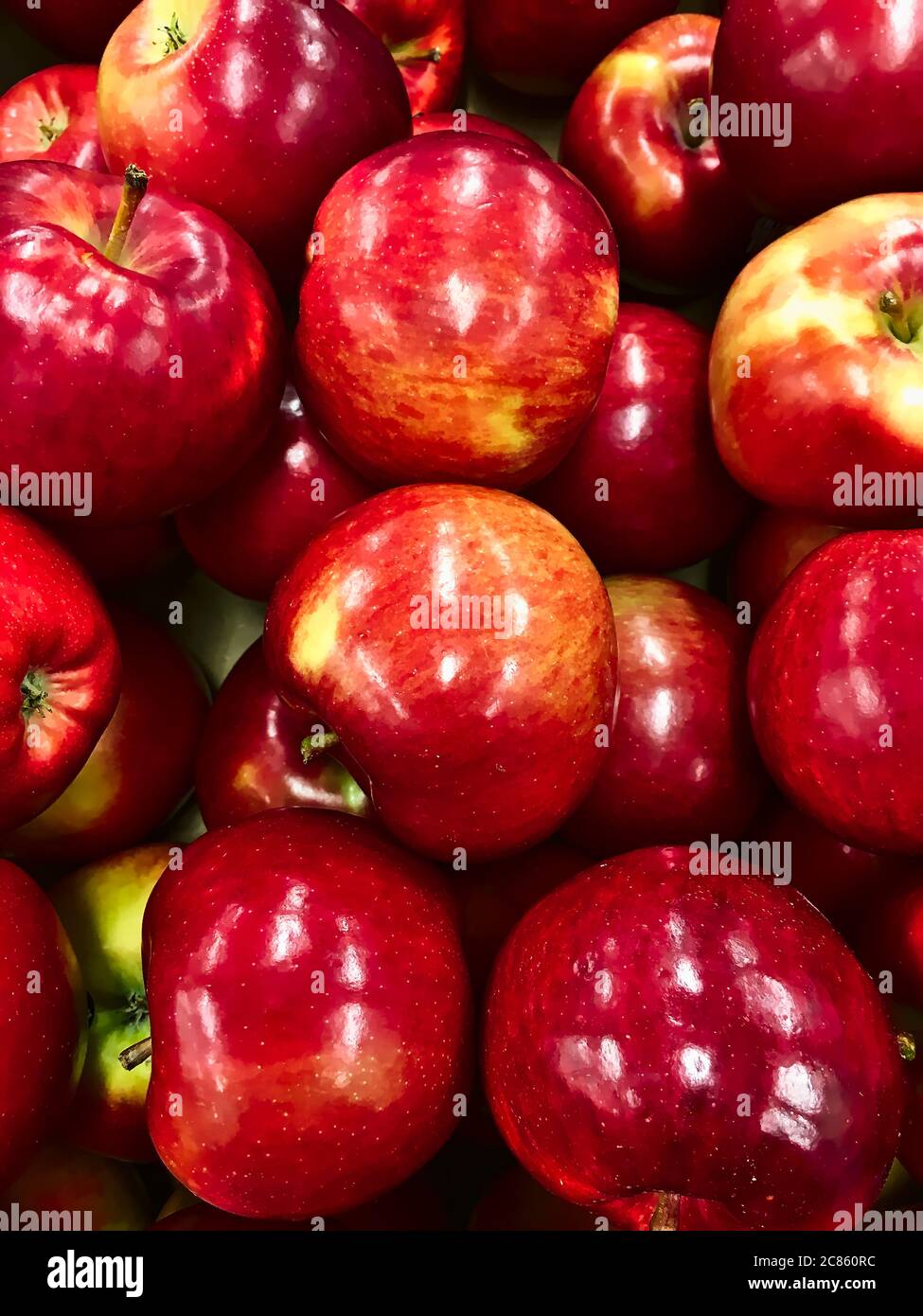 Fresh red apples inside green hi-res stock photography and images - Alamy