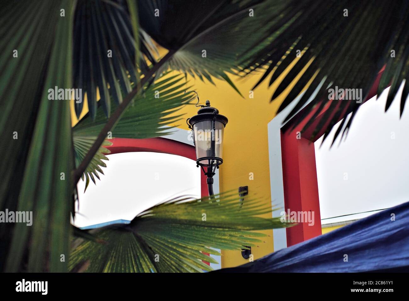 Street lamp in the town plaza framed by palm fronds in Rincon, Puerto Rico Stock Photo