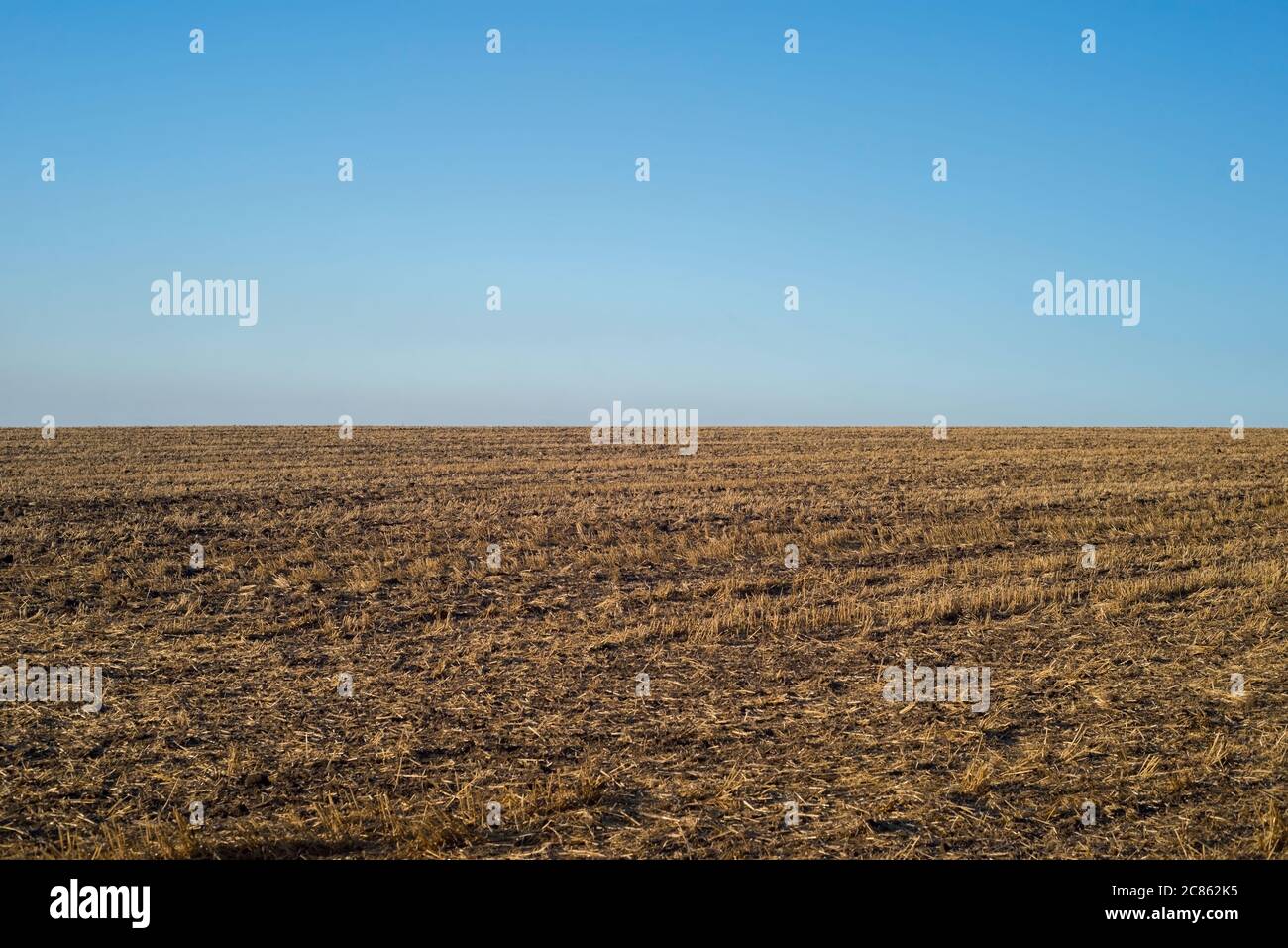 Empty fields after harvest hi-res stock photography and images - Alamy
