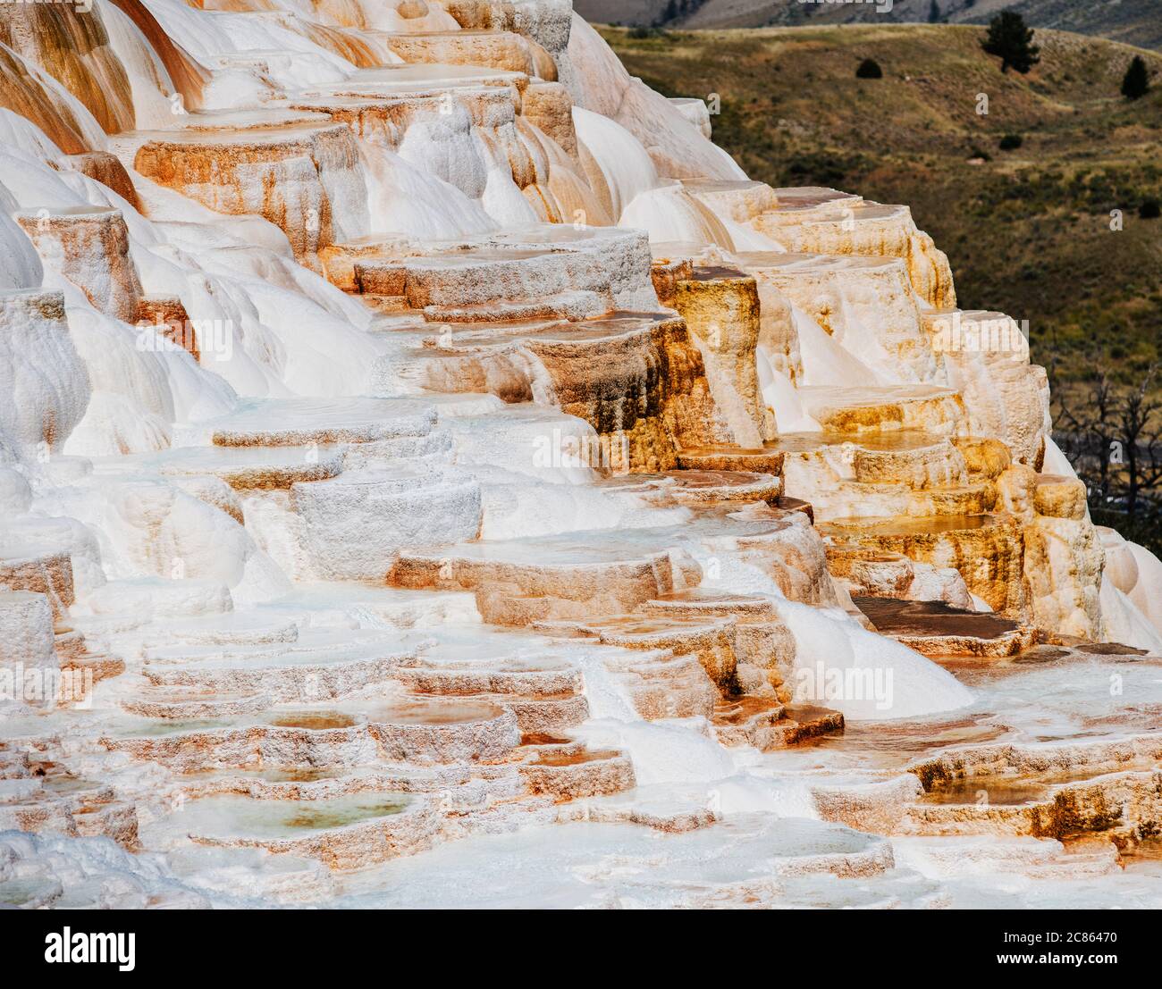The Travertines of Mammoth Hot Springs in Yellowstone national park, Wyoming Stock Photo