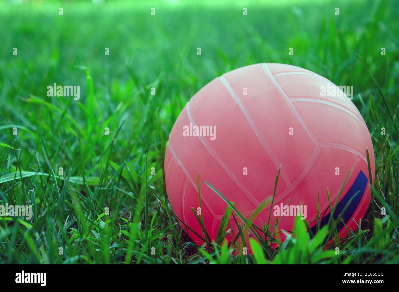 volleyball ball standing on the grass. Volleyball ball on greenery field in park Stock Photo