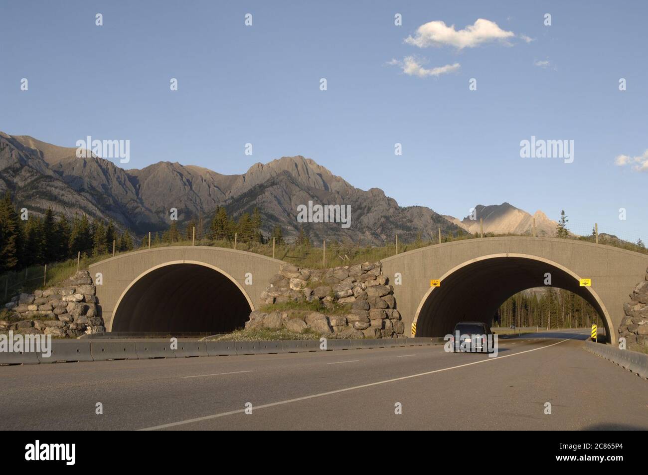 Alberta, Canada August, 2005: Overpass for migrating animals to help ...