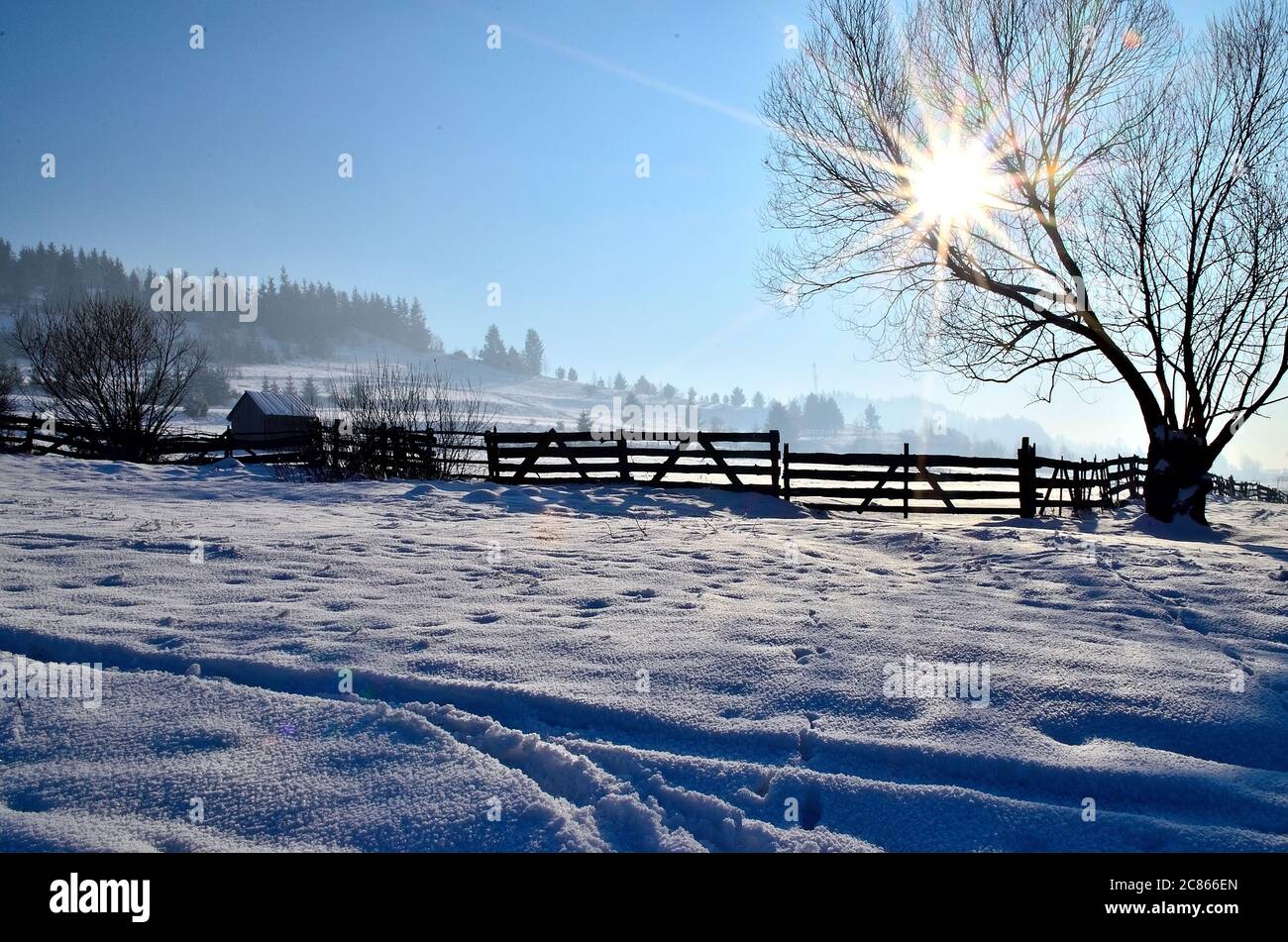 Beautiful Winter Landscape in Transylvania. Foggy winter mornings Stock  Photo - Alamy, image size:1300x951