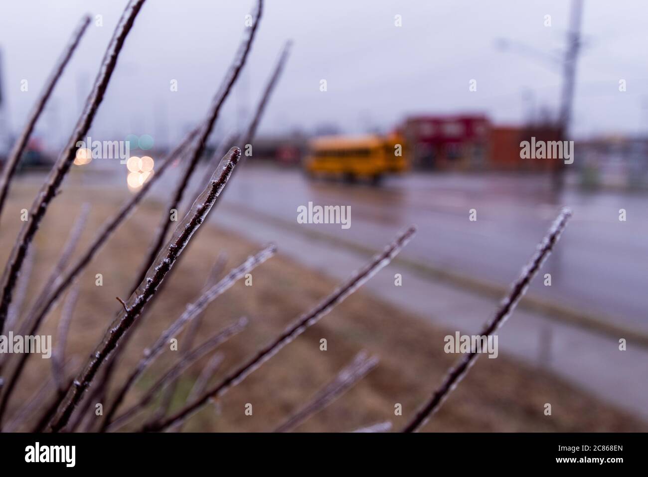 Tree branch blurred car traffic hires stock photography and images Alamy