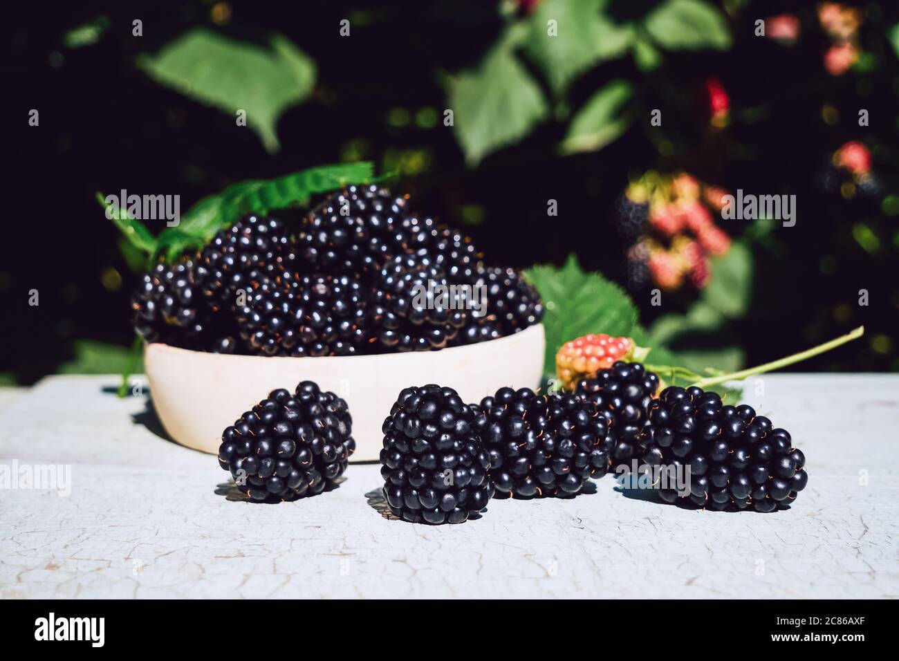 Ripe blackberries with leaves in a cup on an old wooden table. Selective focus. Berry background. Stock Photo