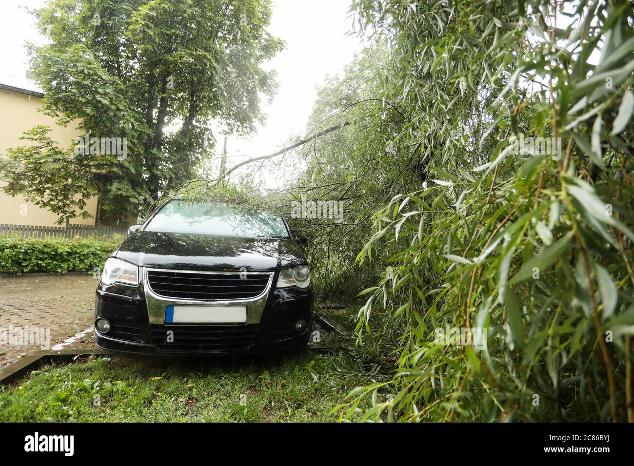 A tree fell on the car due to strong wind. Broken vehicle after the ...