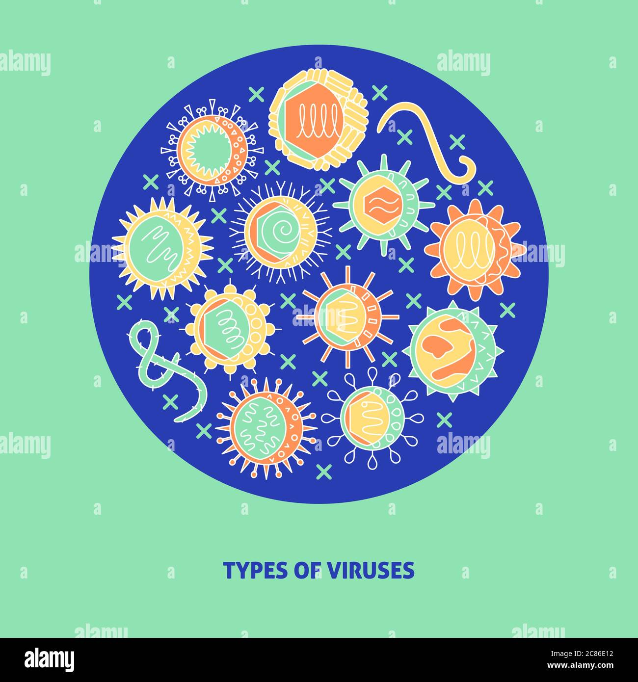 Types of human viruses poster with place for text. Microbiology banner with infection cells symbols collection. Vector illustration. Stock Vector