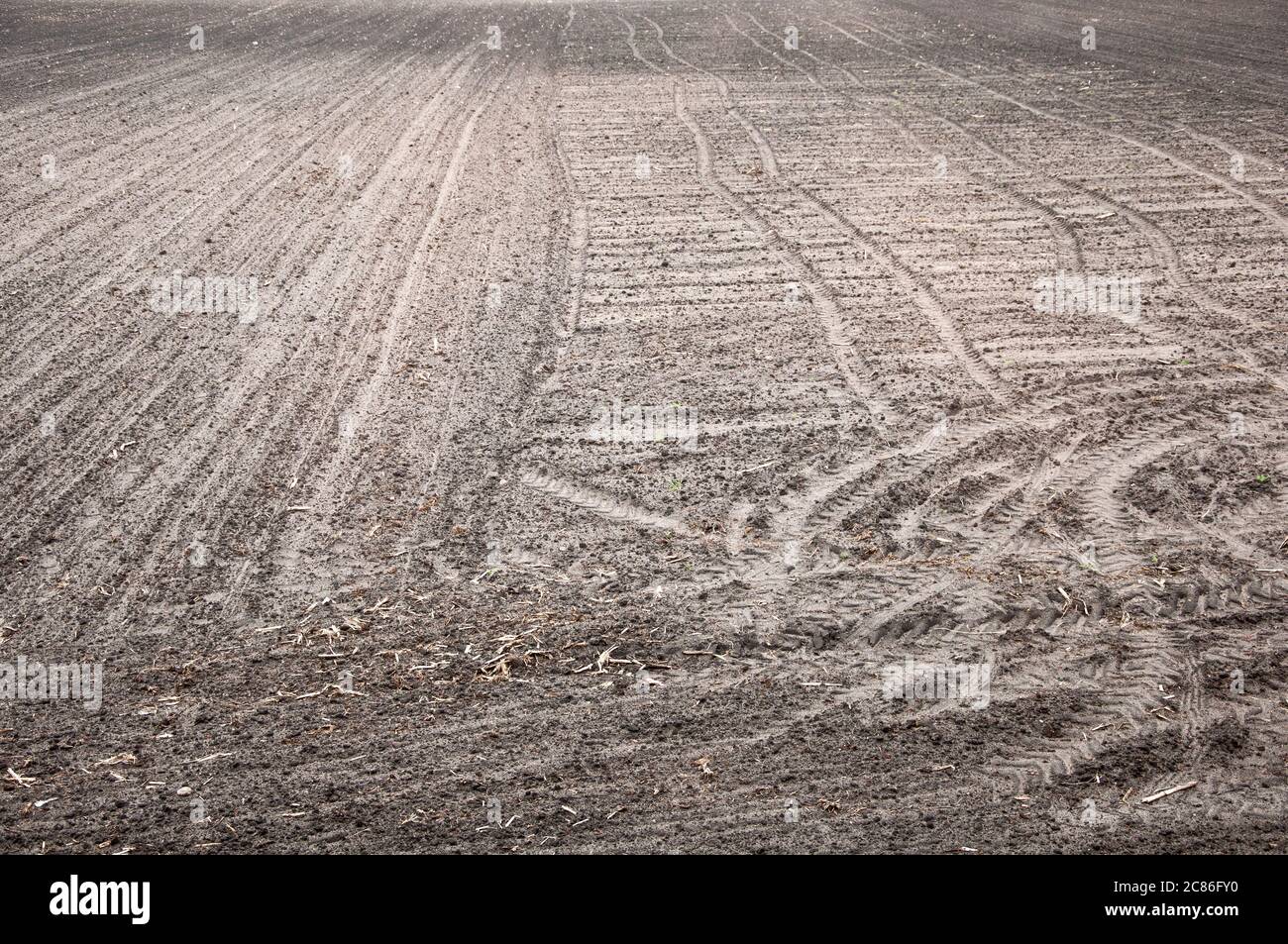 Empty field background Stock Photo Alamy