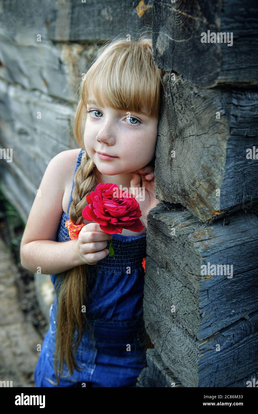 portrait of a charming young girl with a rose at an old log house. Close-up of a blue-eyed blonde teen. Stock Photo