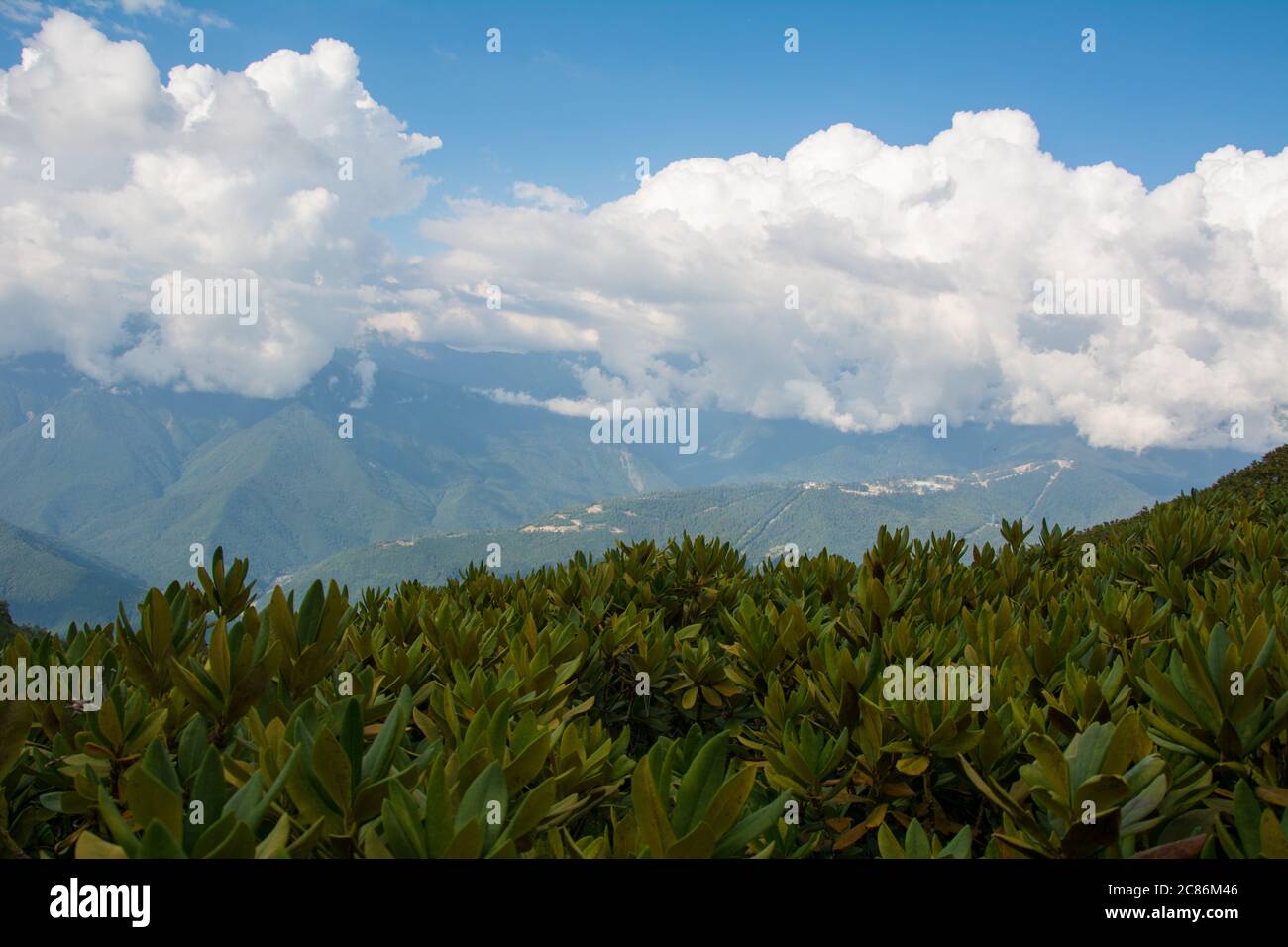 View of Caucasian mountains in resort Red Glade, Krasnodar Krai, Russia Stock Photo