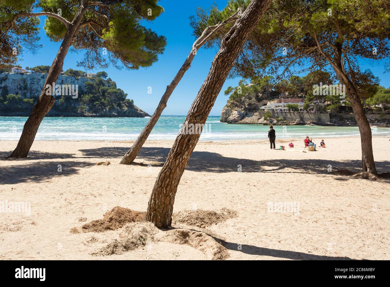 Trees on Cala Galdana beach, Menorca Stock Photo