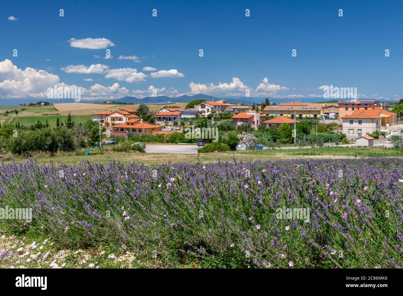 View of the Tuscan village of Santa Luce, Pisa, Italy, from the lavender fields that surround it Stock Photo