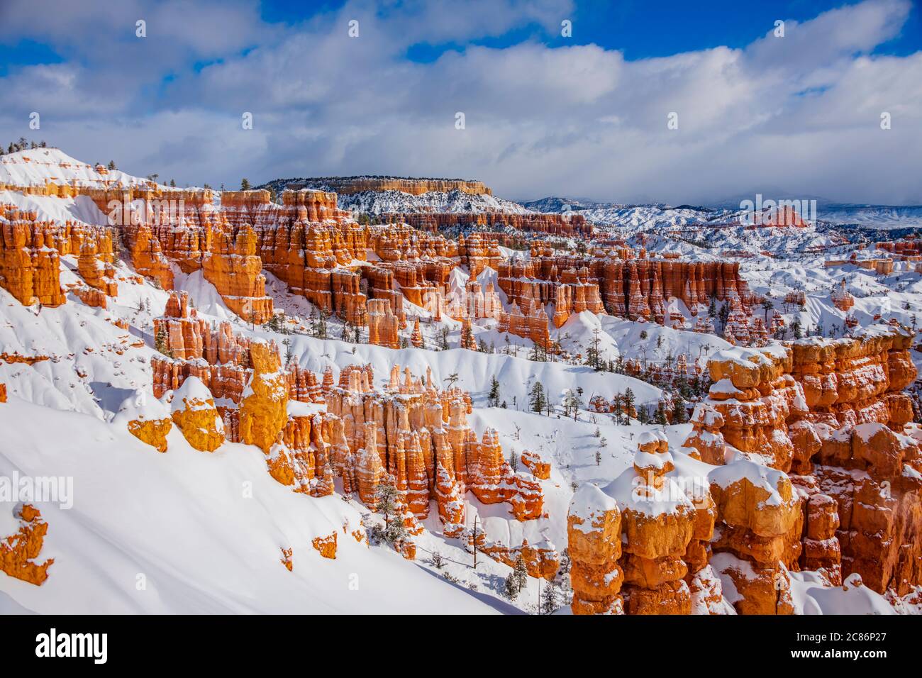 Winter at Bryce Canyon National park, Utah, USA. Stock Photo