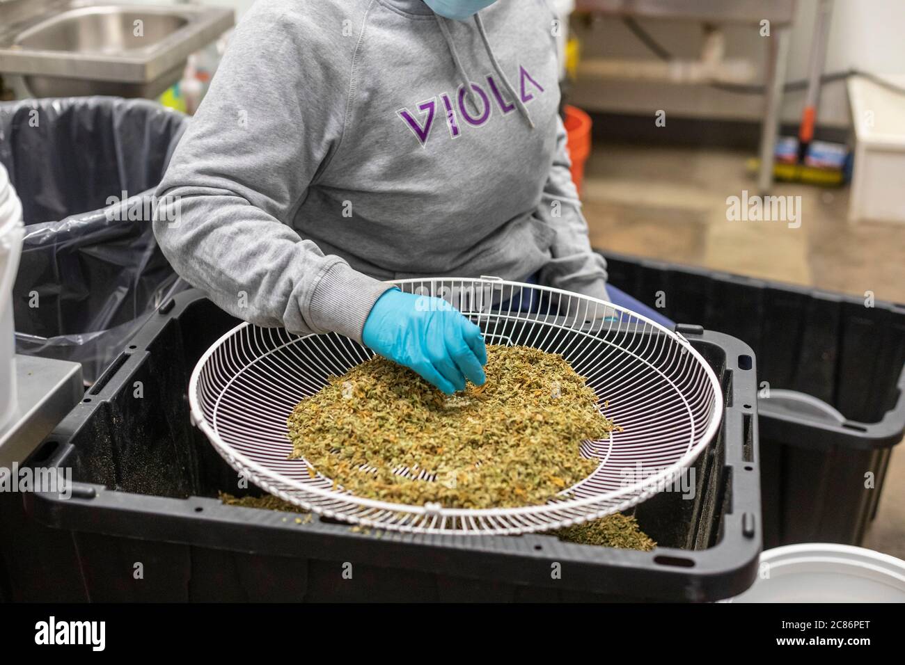 Viola brands hires stock photography and images Alamy