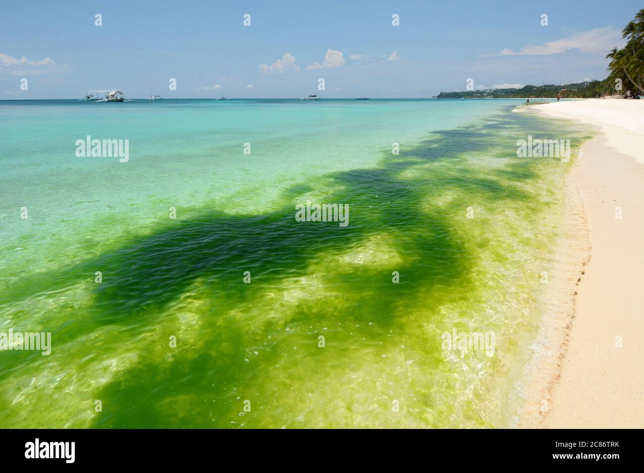 Algae season on White Beach. Boracay. Western Visayas. Philippines Stock Photo Alamy
