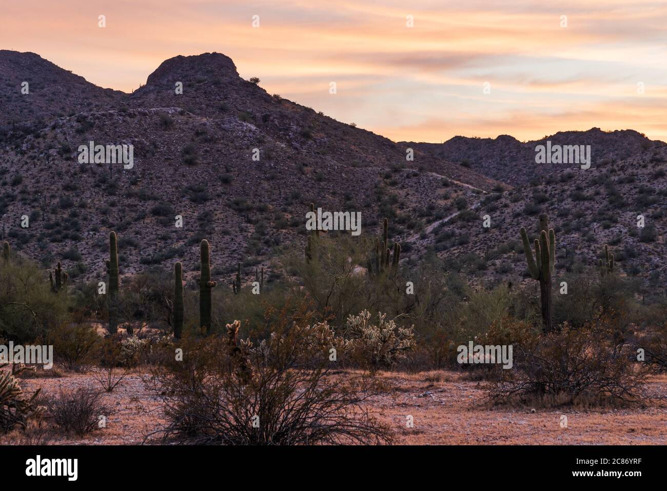 White Tank Mountain, Waddell, Arizona desert Stock Photo Alamy