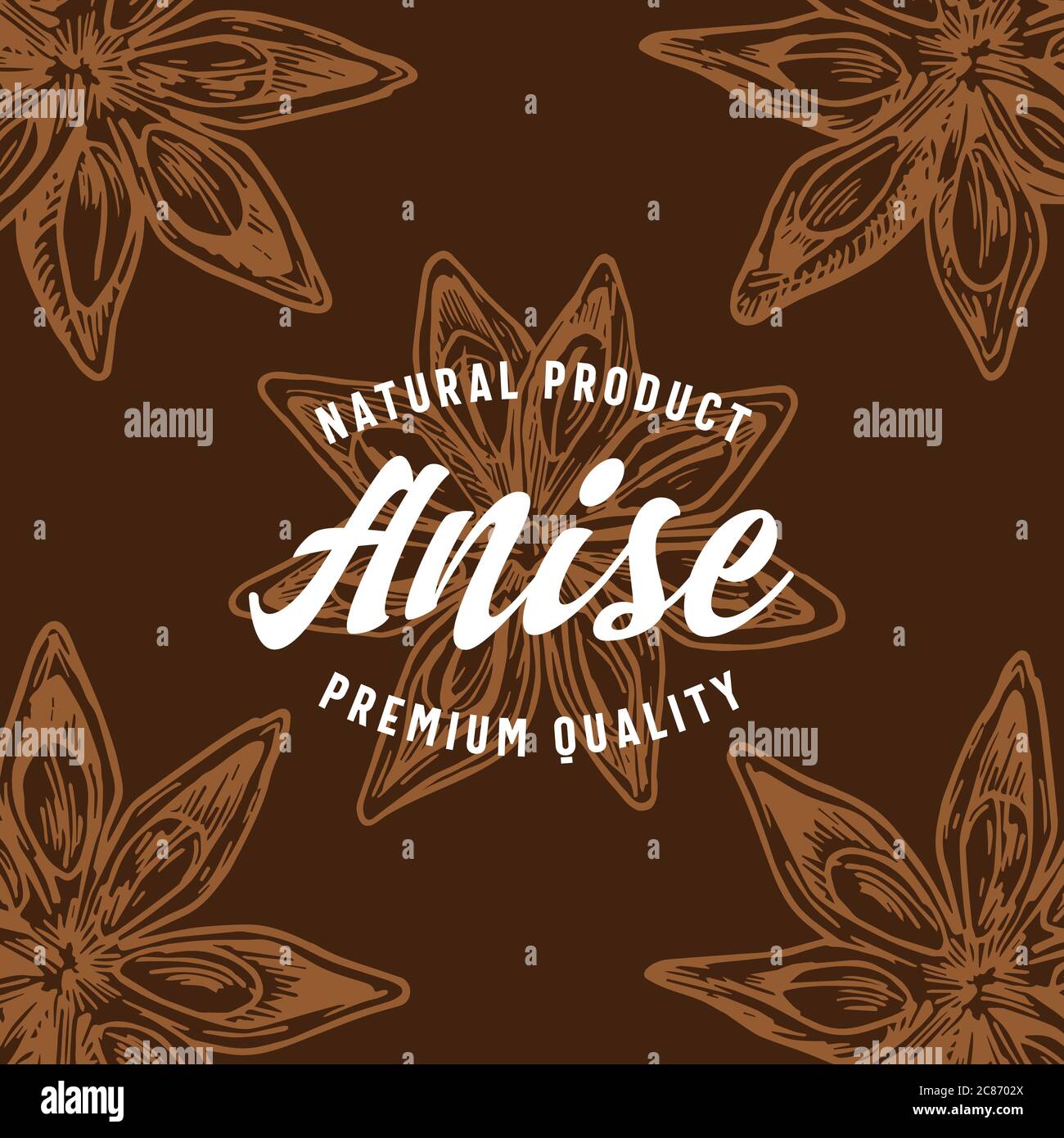Hand Drawn Anise Oriental Spice Card. Abstract Vector Anise Stars ...