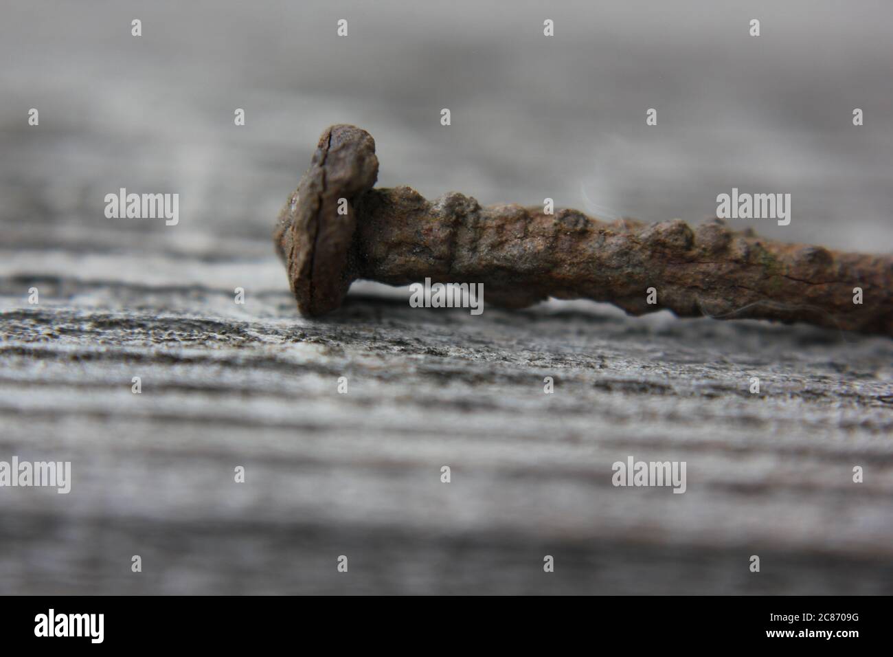One single severely weathered rusted iron construction nail Stock Photo ...