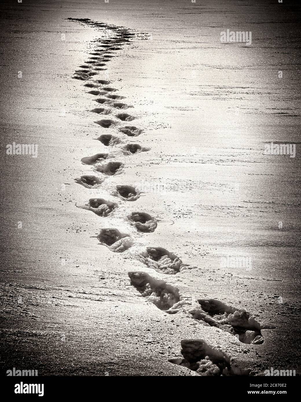 Footprints in Snow Stock Photo