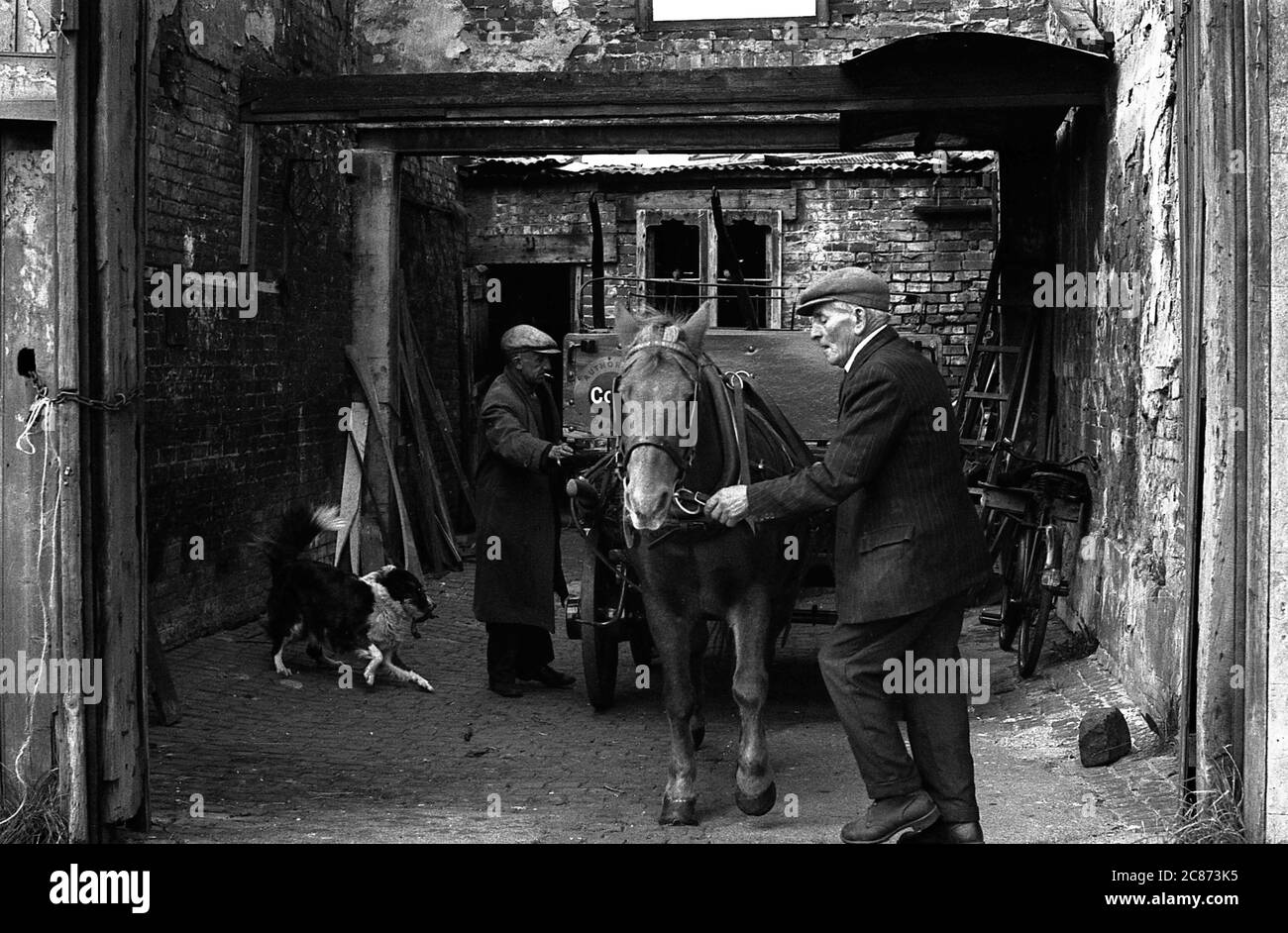 AJAXNETPHOTO. 30TH SEPTEMBER, 1969. PORTSMOUTH, ENGLAND. - FORCED OUT - IN SUSSEX STREET; LAST PICTURES OF THE TOTTERS AND THEIR STABLES IN SUSSEX STREET BEFORE THE BUILDINGS WERE DEMOLISHED. RIGGING UP THE HORSE AND CART.PHOTO:JONATHAN EASTLAND/AJAX REF:356950 51 202206 35 Stock Photo