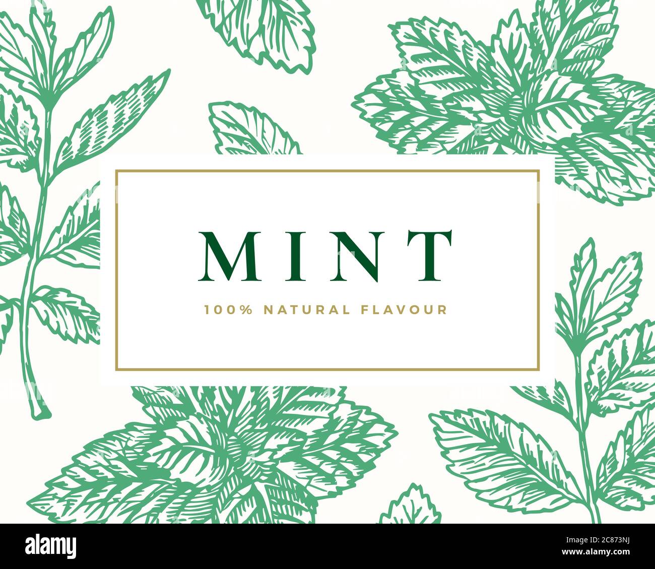 Mint leaf illustration hi-res stock photography and images - Alamy