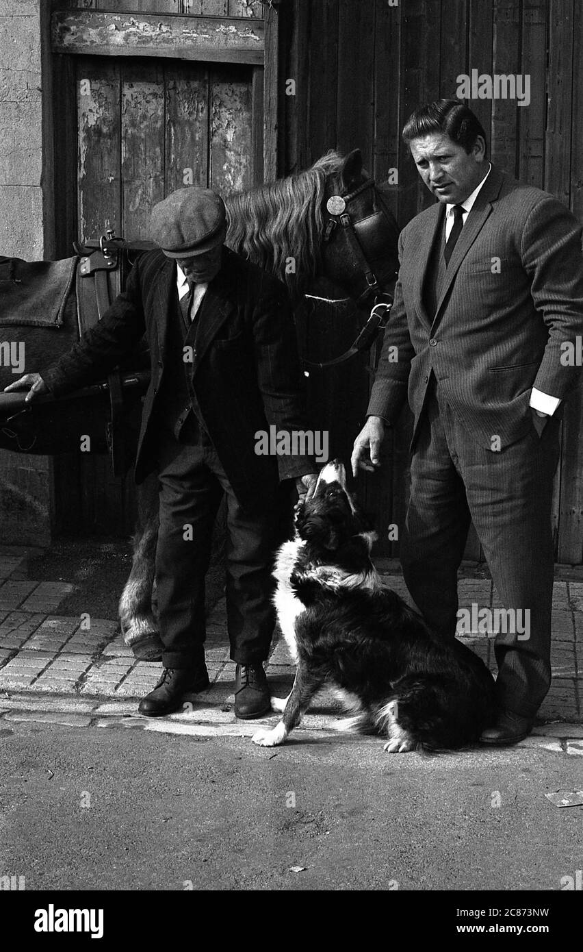 AJAXNETPHOTO. 30TH SEPTEMBER, 1969. PORTSMOUTH, ENGLAND. - FORCED OUT - IN SUSSEX STREET; LAST PICTURES OF THE TOTTERS AND THEIR STABLES IN SUSSEX STREET BEFORE THE BUILDINGS WERE DEMOLISHED. PHOTO:JONATHAN EASTLAND/AJAX REF:356950 51 202206 52 Stock Photo