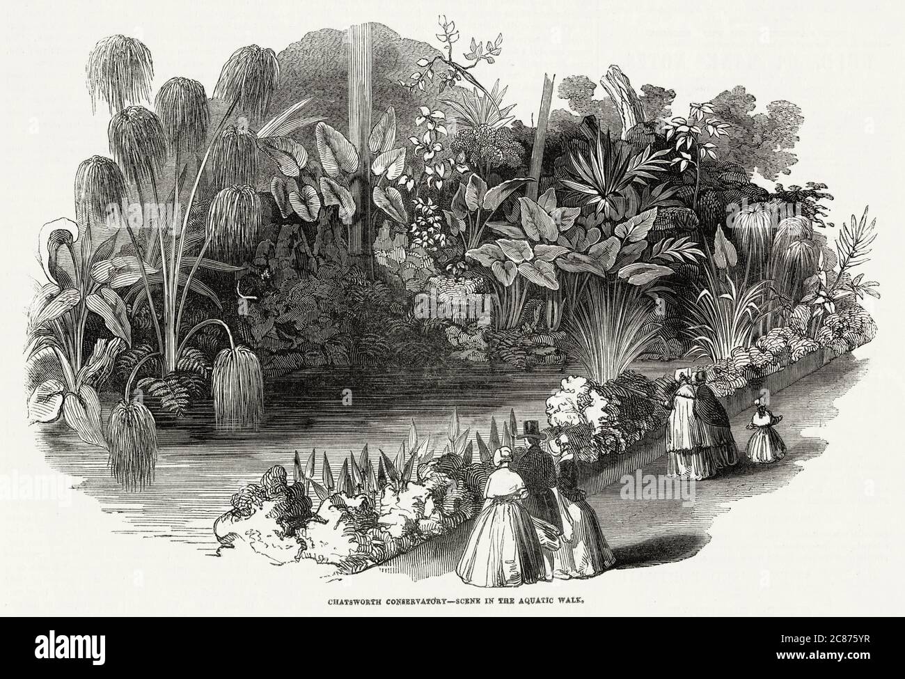 Scene in the aquatic walk.      Date: 1846 Stock Photo