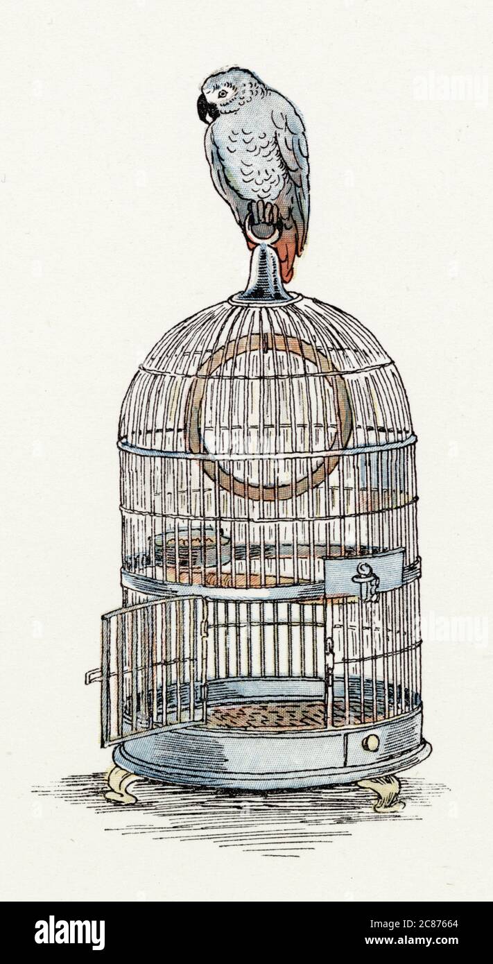 Endpiece design, a parrot on top of a cage, which the children brought