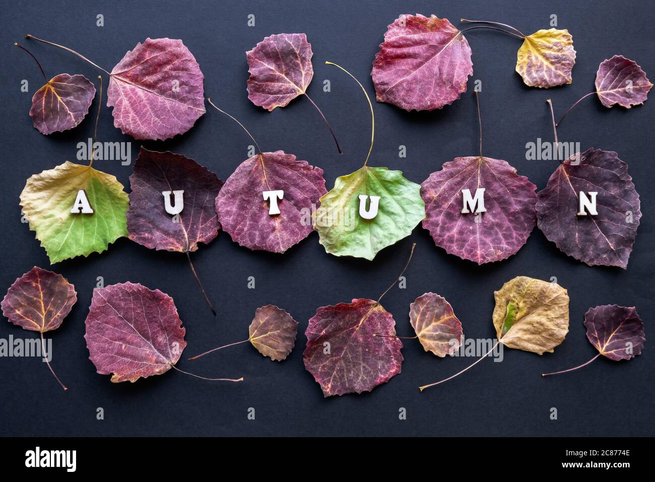 Border word hi-res stock photography and images - Alamy