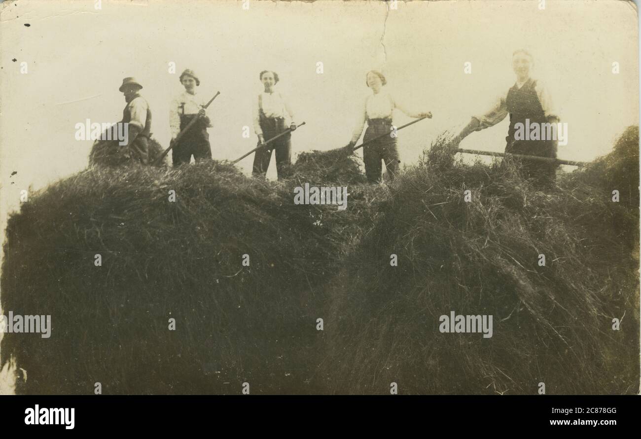 WW2 Land Army - Haymaking, Britain. Stock Photo