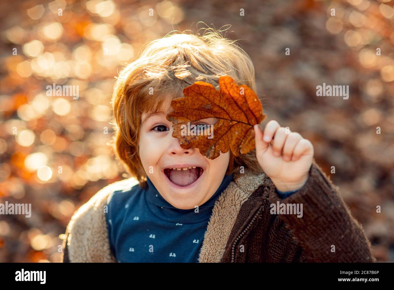 Toddler boy in autumn park. Child covers his eyes with a yellow maple leaf in the autumn park. Kids walking in autumn park. Cute boy playing with Stock Photo