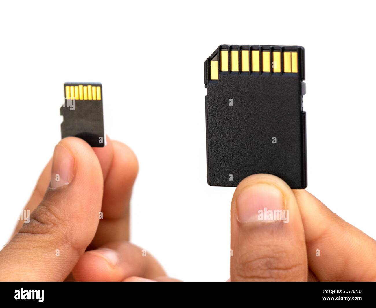 SD card with micro SD Card or adapter, selective focus Stock Photo