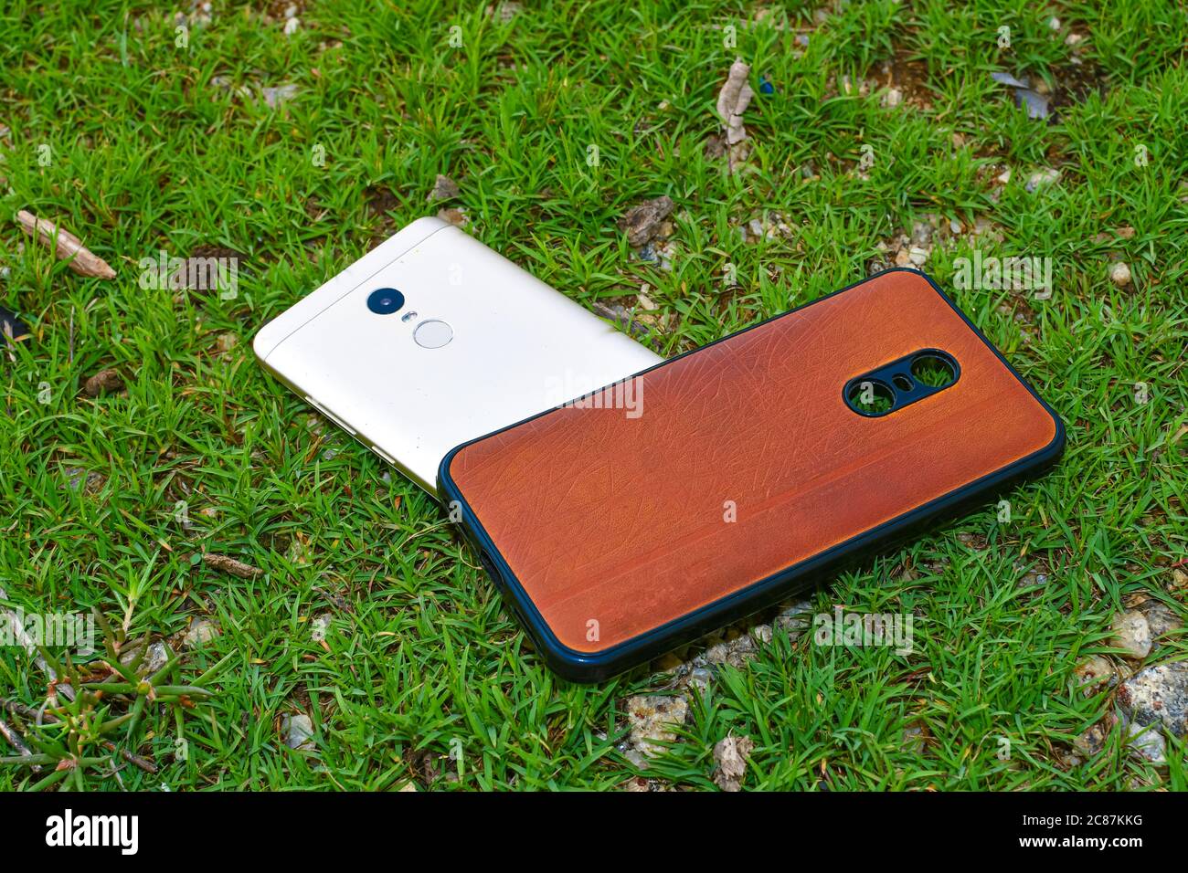 Smartphone & Back Cover On Green Grass Background Close. Stock Photo